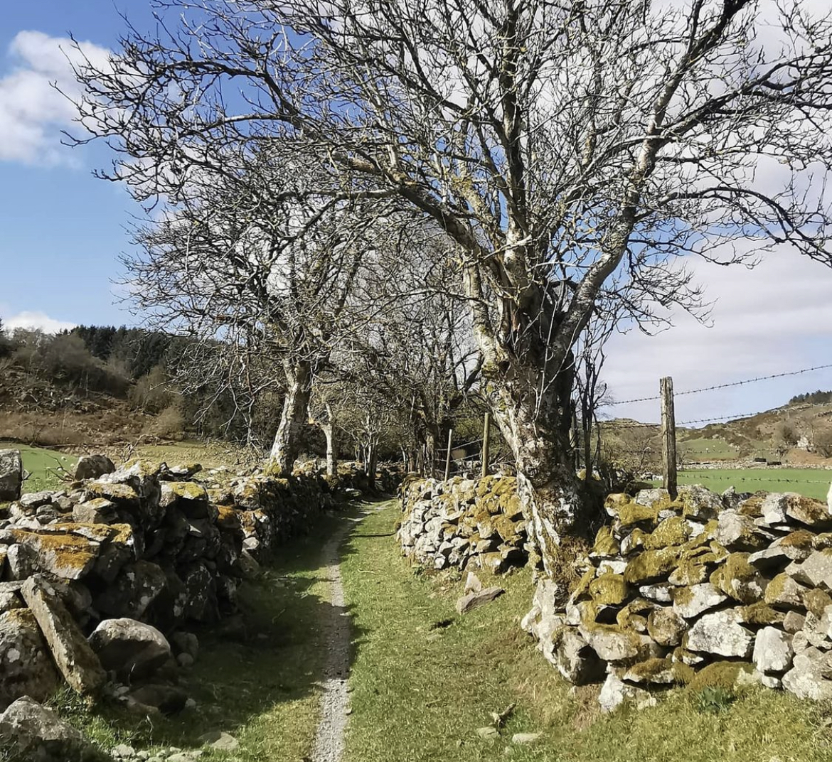 Pentrefoelas Walks: A Complete Guide