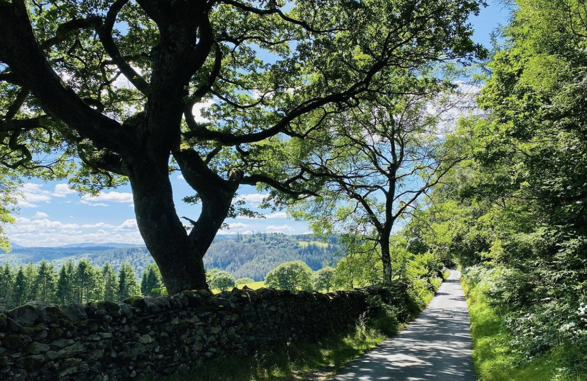 Swallow Falls Walk in the Gwydir Forest