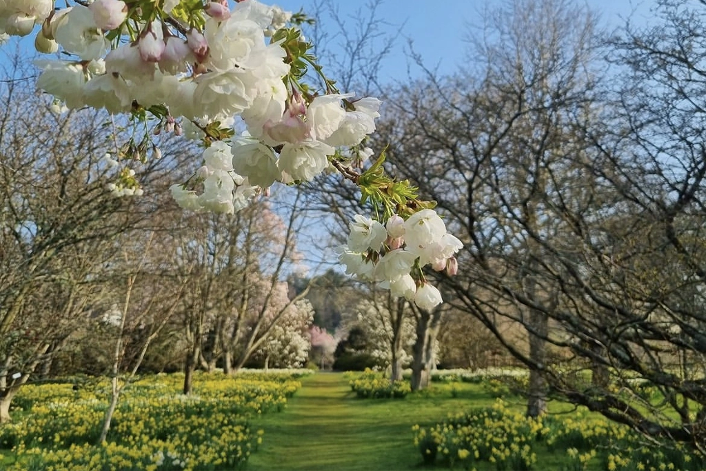 Conwy Honey Fair 2026